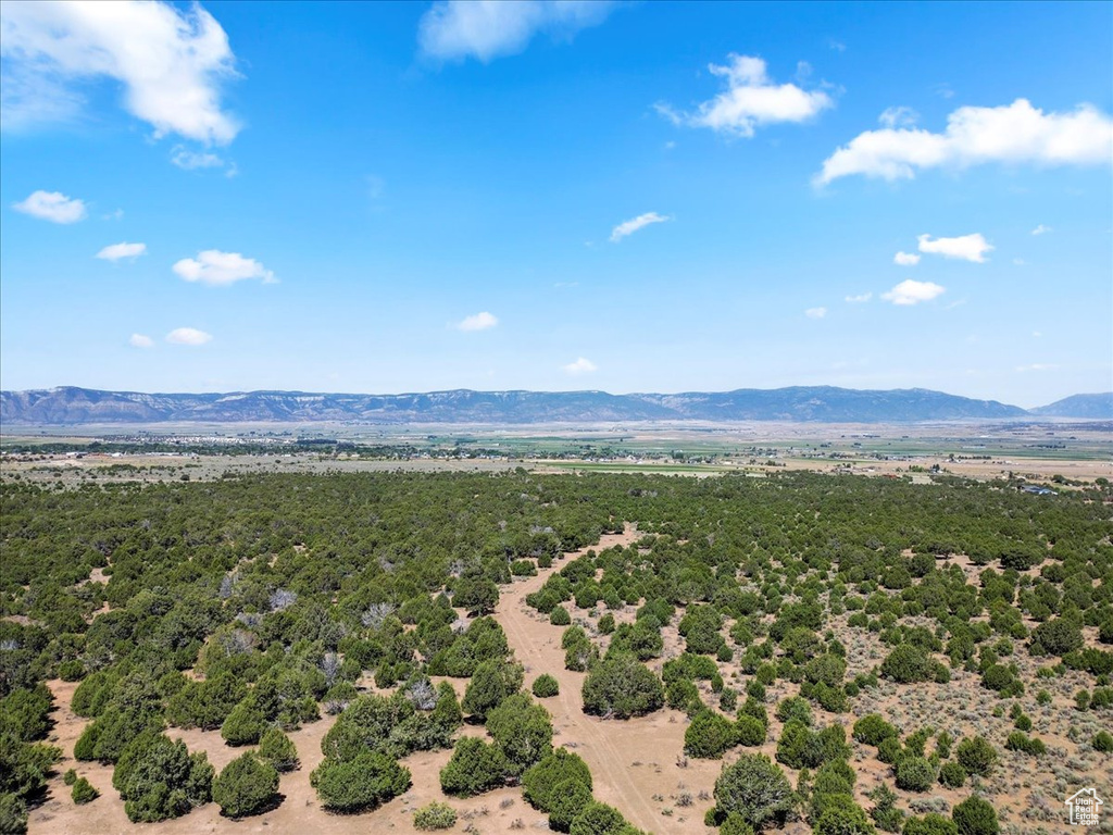 Aerial view of mountains