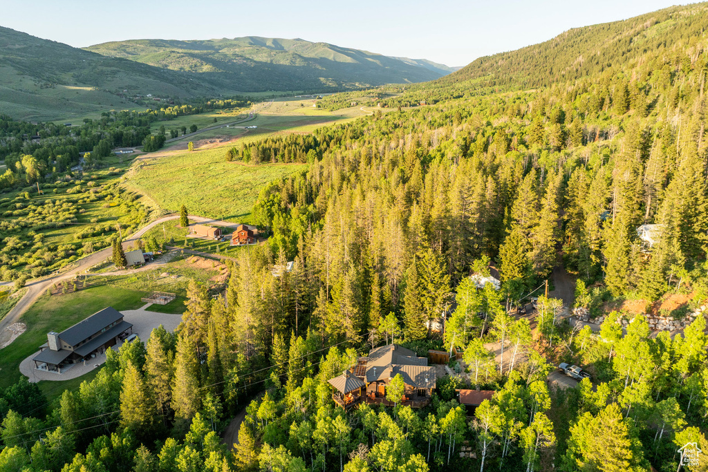 Drone / aerial view of a mountainous background and a forest