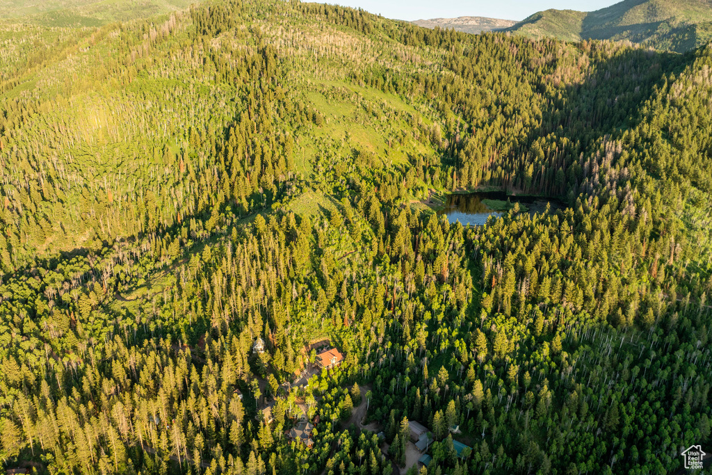 Drone / aerial view of a heavily wooded area and a mountainous background
