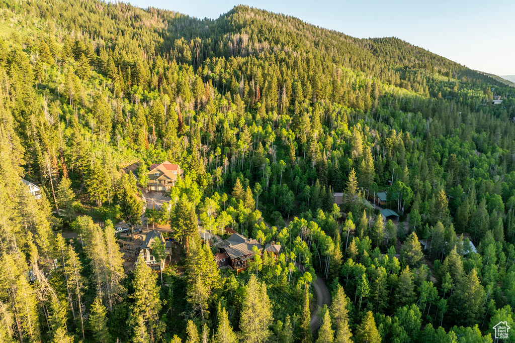 Drone / aerial view of a forest and a mountainous background