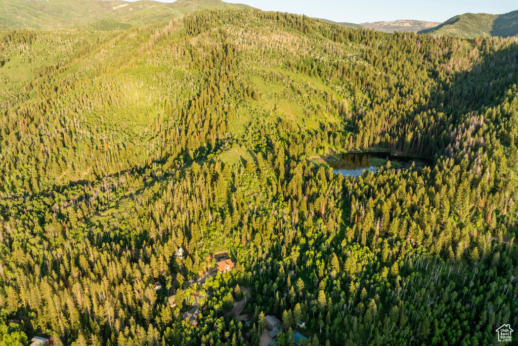 Bird's eye view of a forest and a mountain backdrop