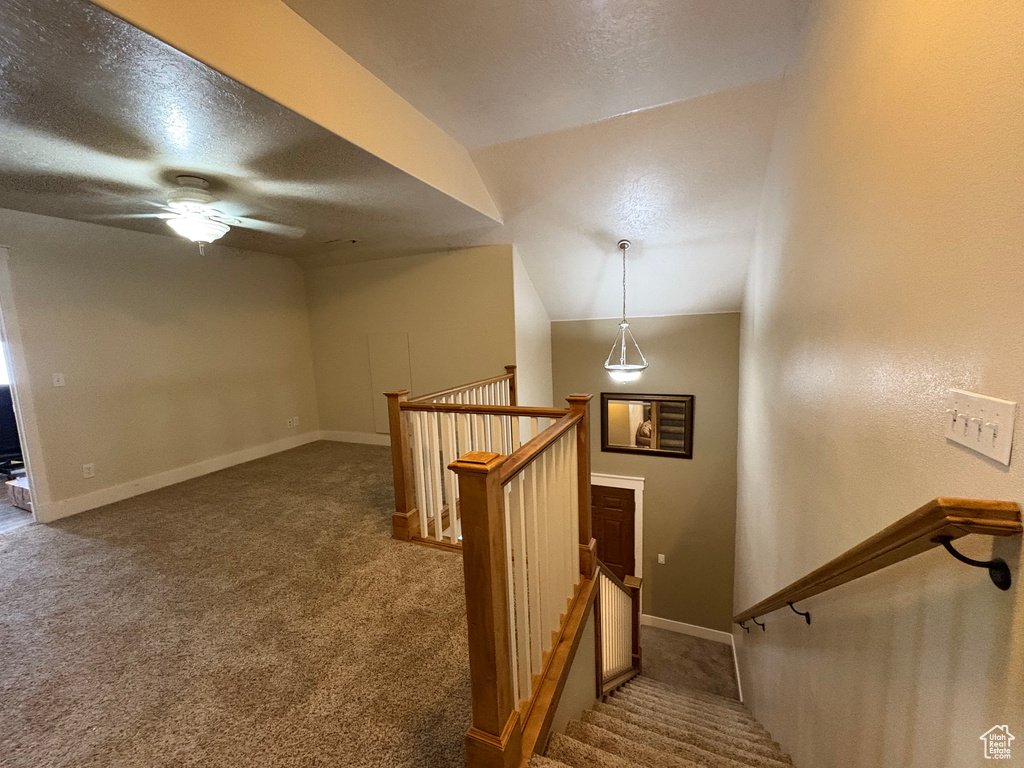 Staircase featuring carpet flooring, a ceiling fan, and a textured ceiling