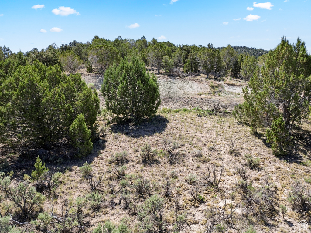 View of undeveloped land
