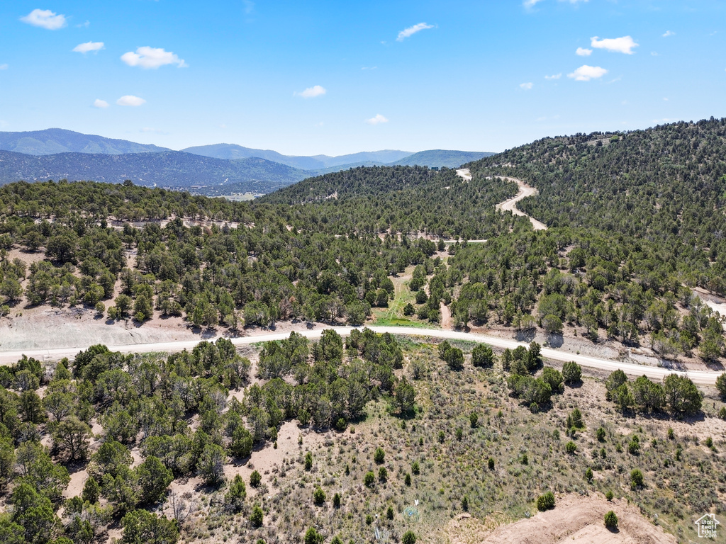 Aerial view of a mountainous background and a forest