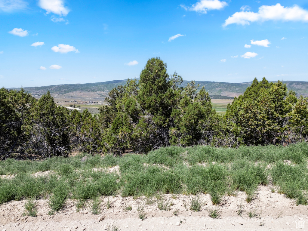 View of mountain background