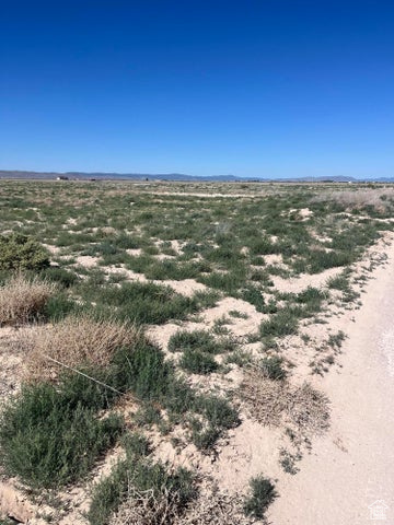 View of undeveloped land