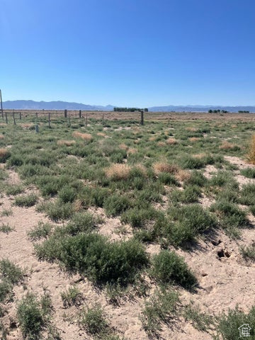 View of yard featuring a view of rural / pastoral area