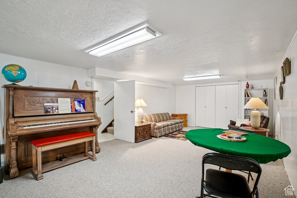 Recreation room with a textured ceiling and carpet