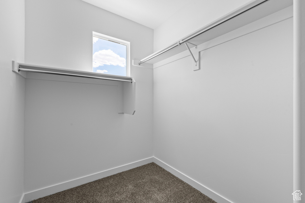 Walk in closet with dark colored carpet
