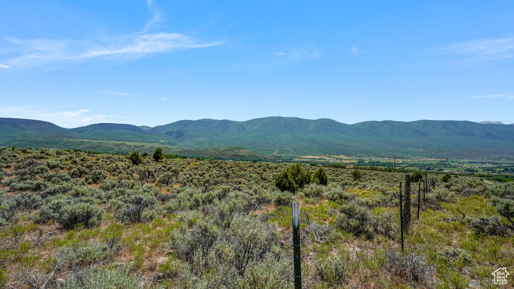 Mountain view