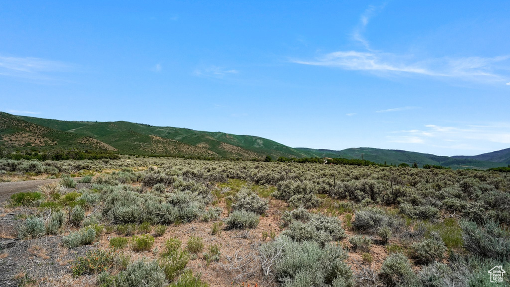 View of mountain backdrop