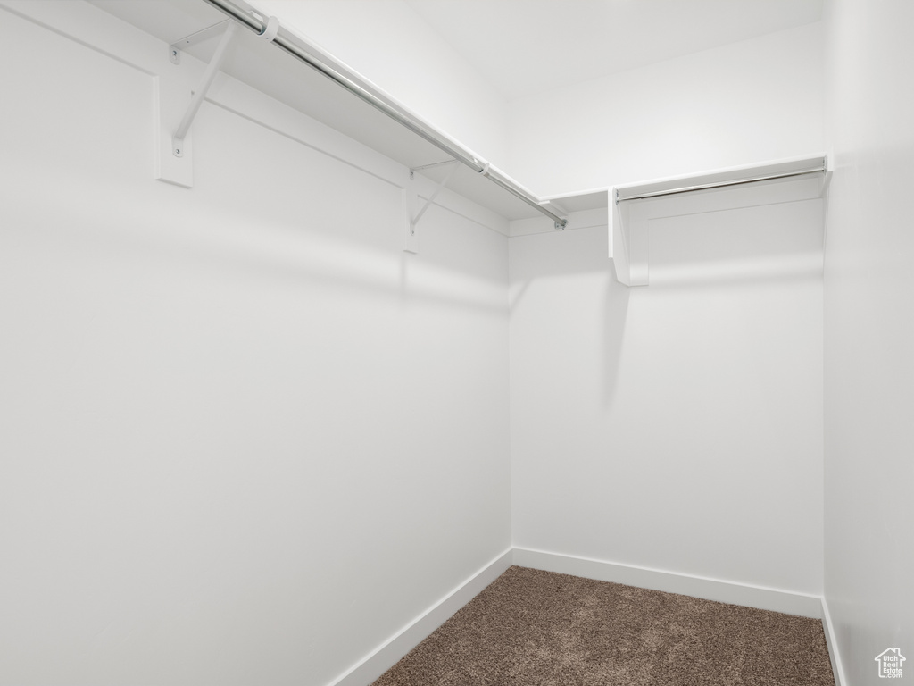 Spacious closet with carpet floors