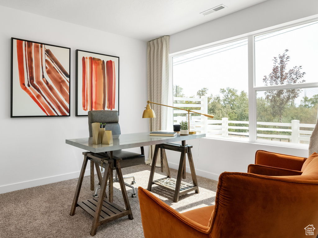 Office with carpet and baseboards