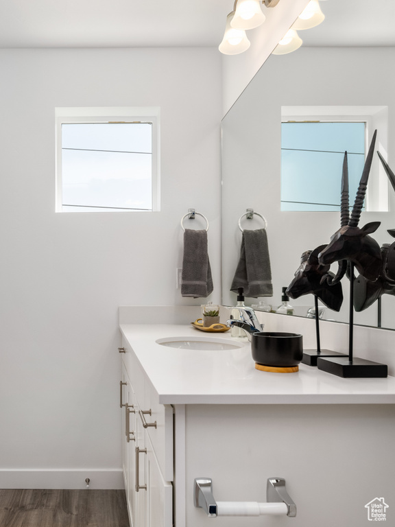 Bathroom featuring vanity and wood finished floors