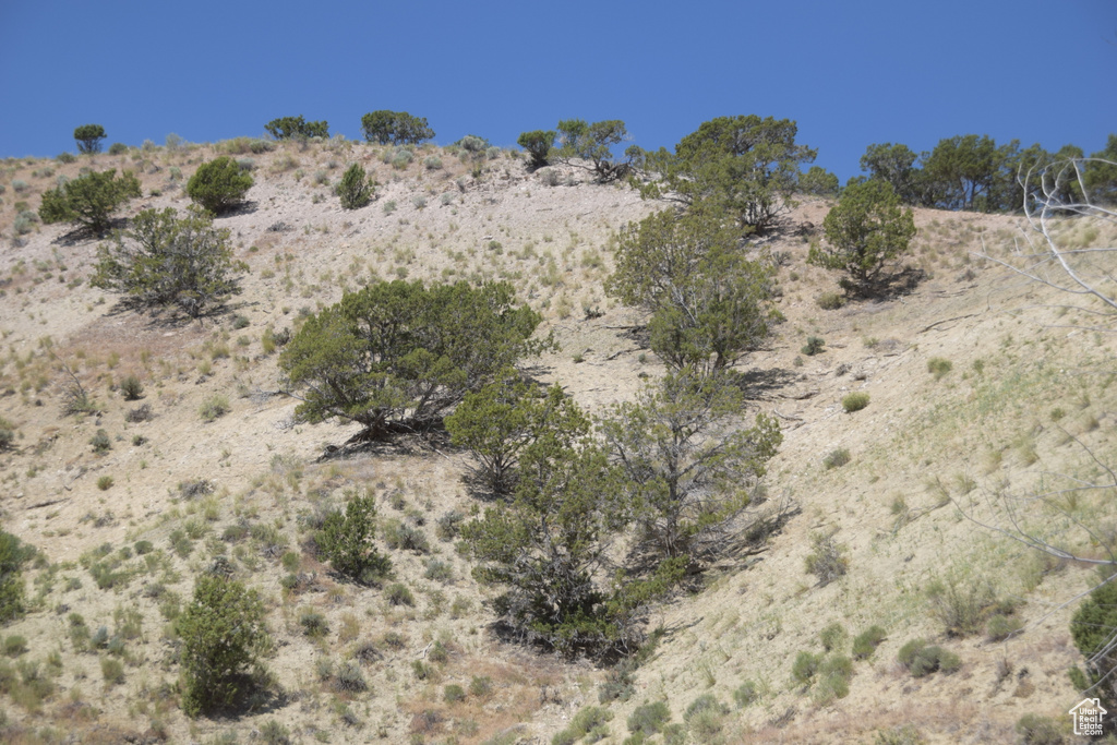 View of local wilderness featuring rural landscape