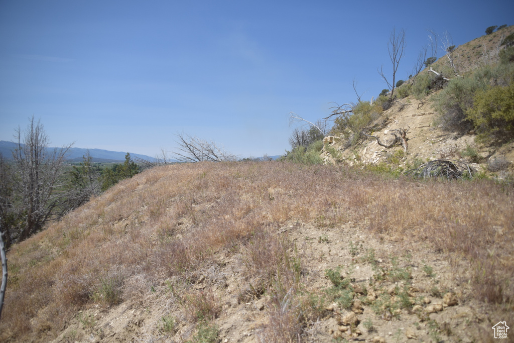 View of yard with a mountain view