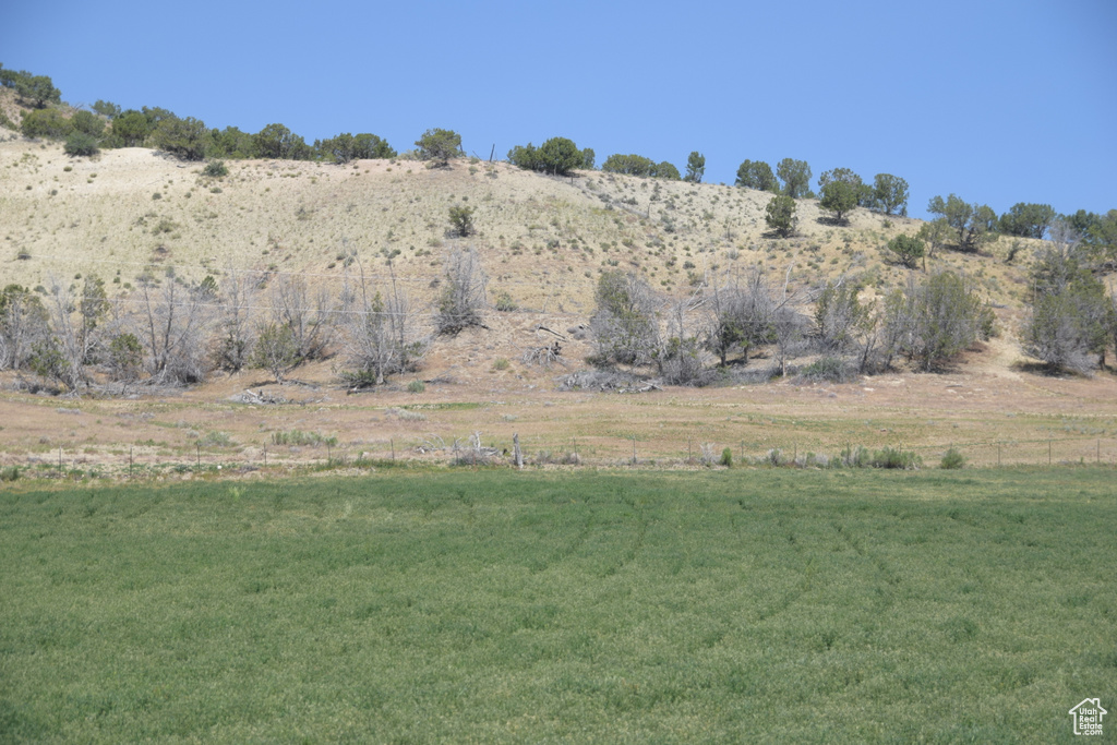 View of green lawn with a view of rural / pastoral area