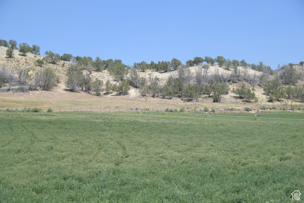 View of green lawn with a view of rural / pastoral area