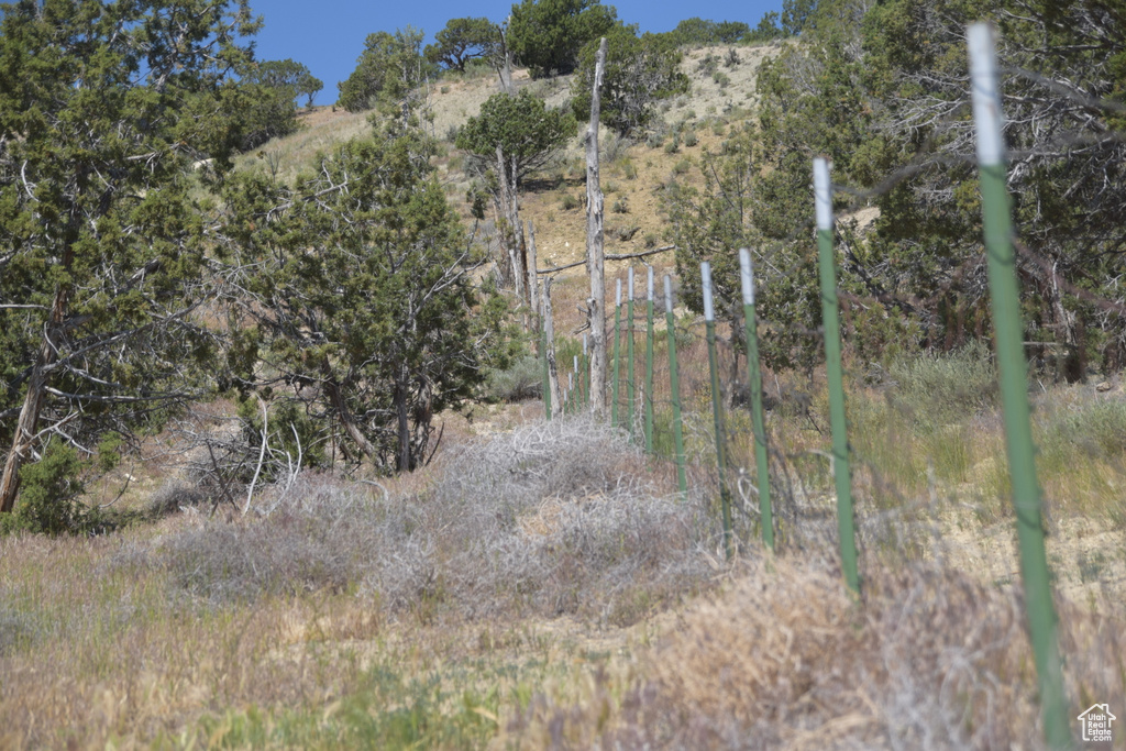 View of undeveloped land