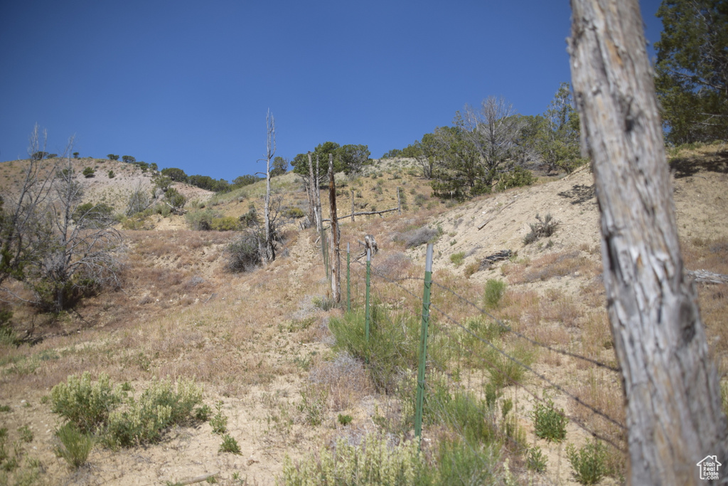 View of undeveloped land
