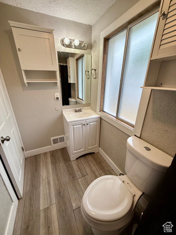Bathroom with wood finished floors, a textured wall, vanity, and a textured ceiling