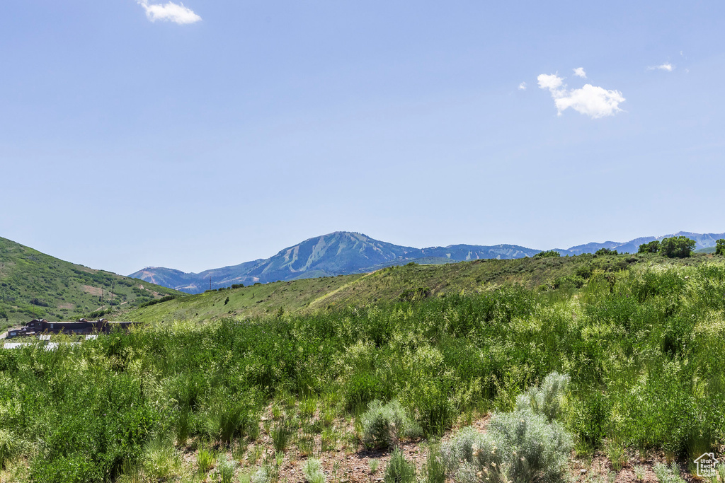 View of mountain backdrop