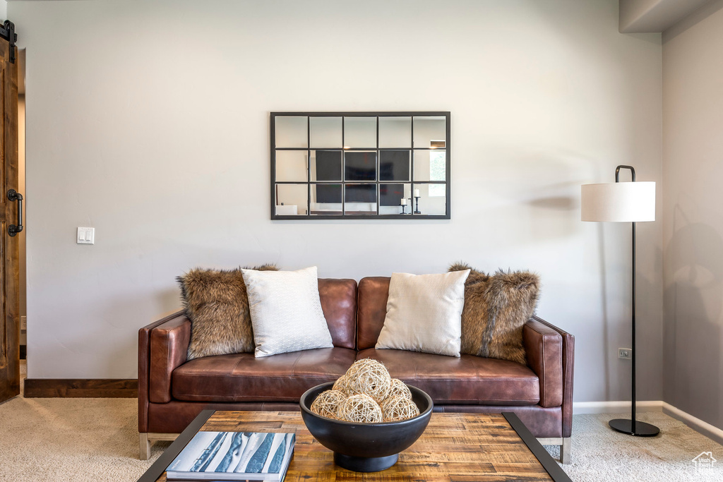Carpeted living room with baseboards and a barn door