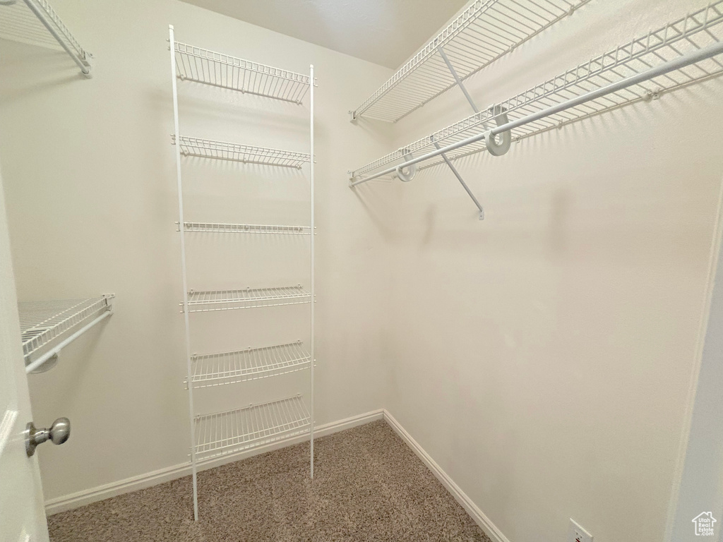 Spacious closet featuring carpet floors