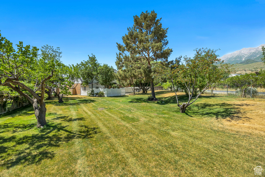 View of yard featuring a mountain view