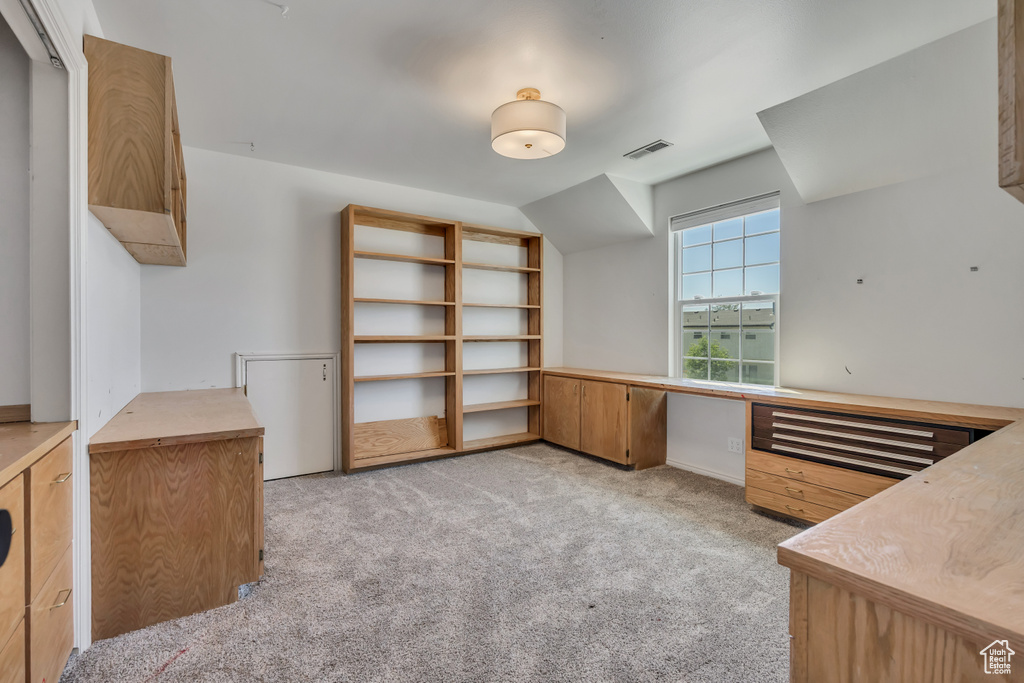 Walk in closet with light colored carpet