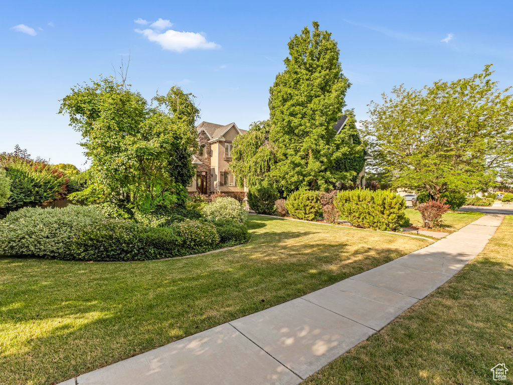 Surrounding community featuring a yard