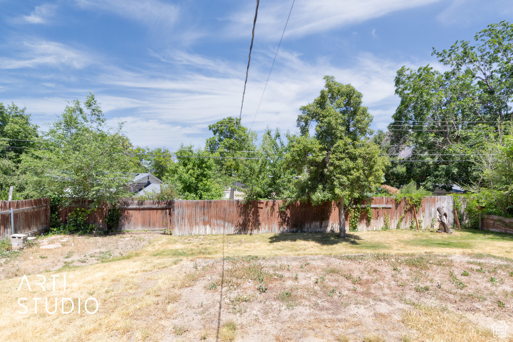 View of yard