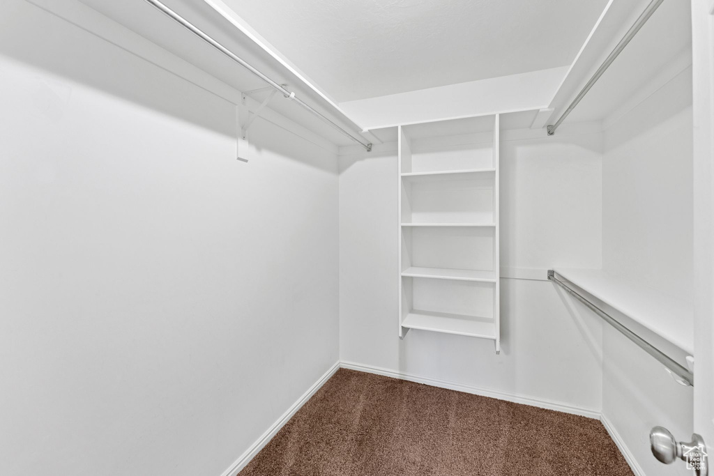 Spacious closet featuring dark colored carpet