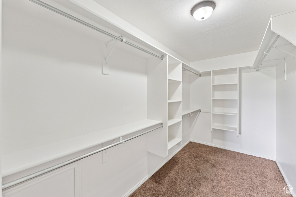 Spacious closet featuring carpet
