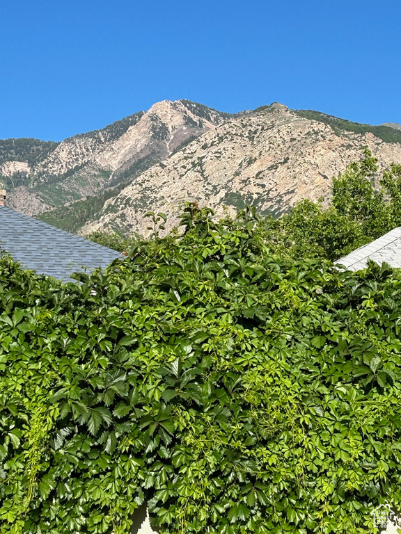 View of mountain background