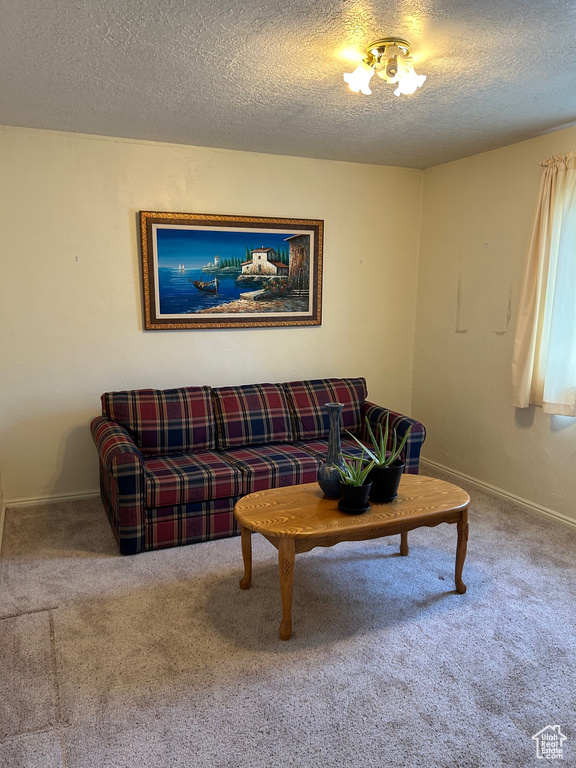 Carpeted living room with a textured ceiling and baseboards