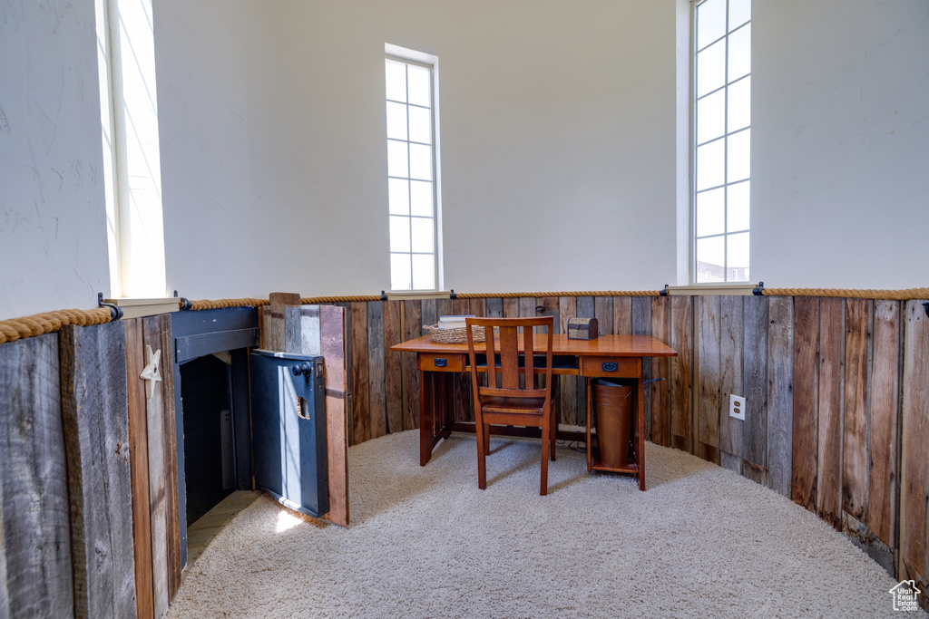 Office with carpet flooring, a wainscoted wall, plenty of natural light, and wood walls
