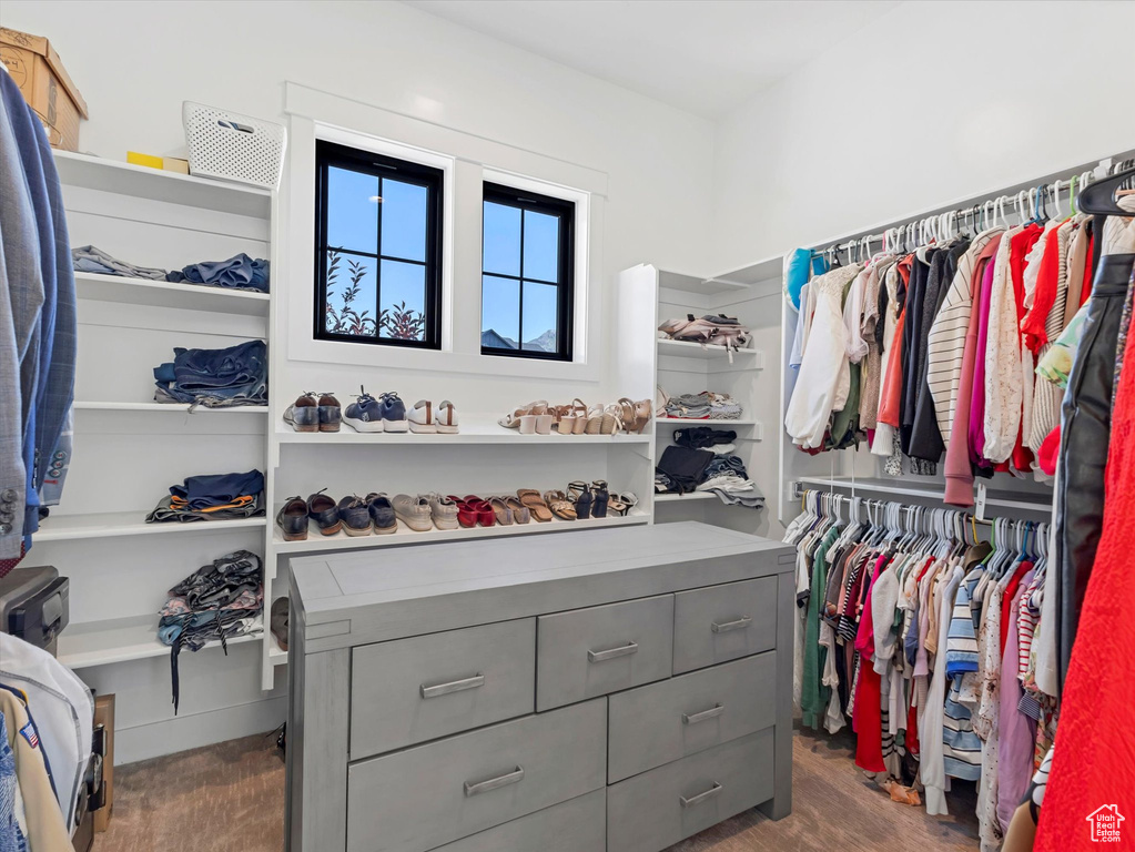 Walk in closet with wood finished floors