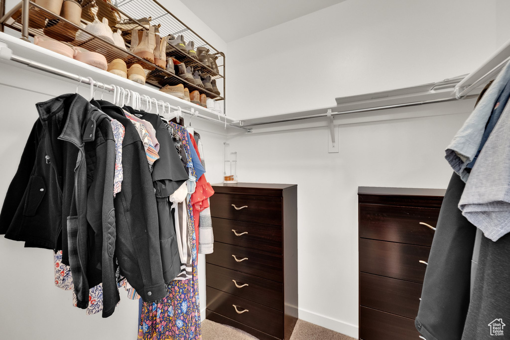 Spacious closet featuring carpet