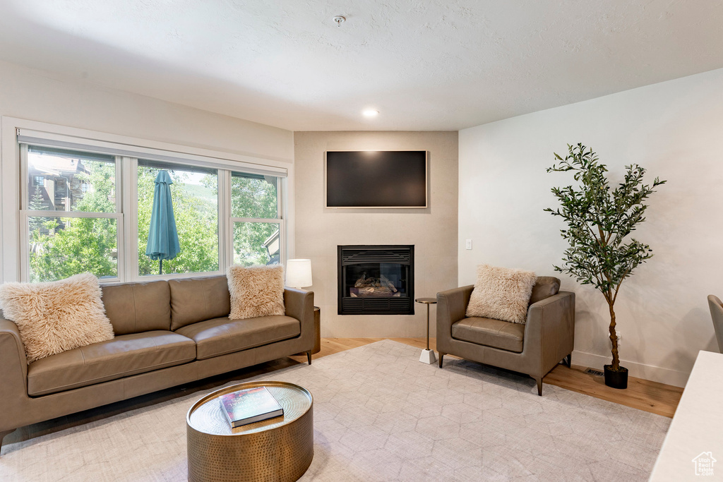 Living area featuring a glass covered fireplace, light wood-type flooring, and recessed lighting