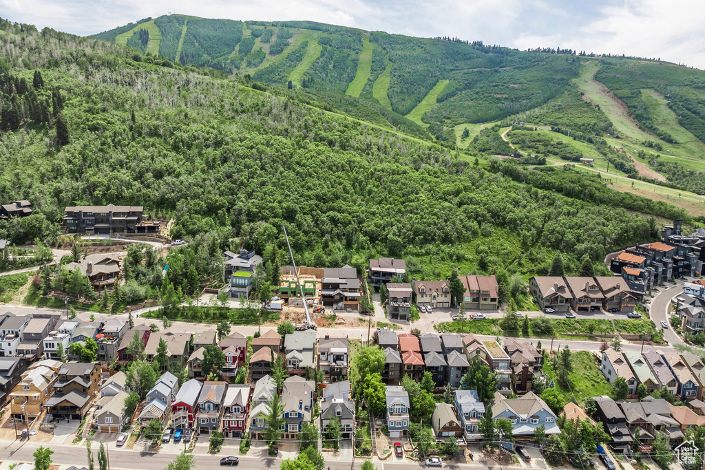 Aerial perspective of suburban area featuring mountains and a forest