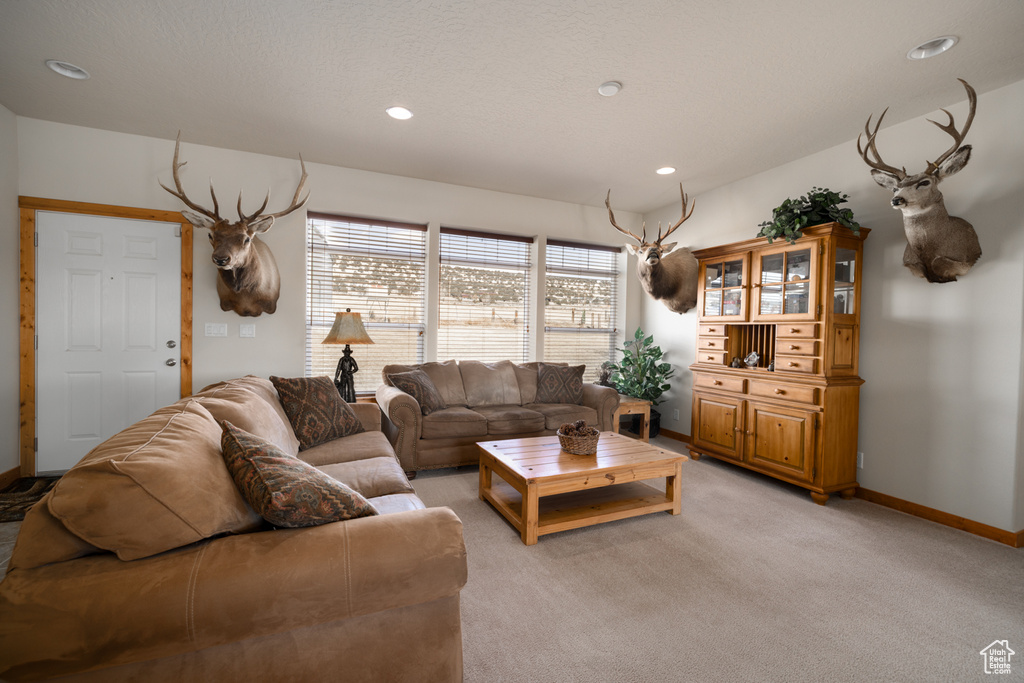 Living area with light colored carpet and recessed lighting