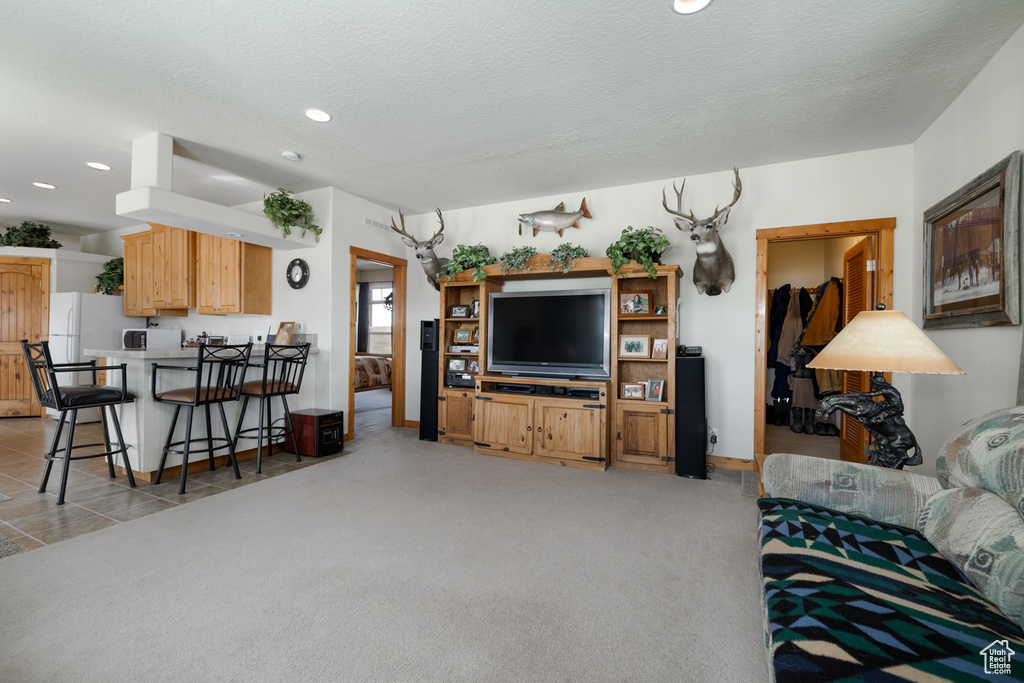 Living area featuring recessed lighting and a textured ceiling