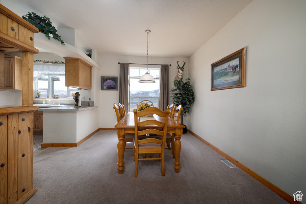 Dining space with healthy amount of natural light and light colored carpet