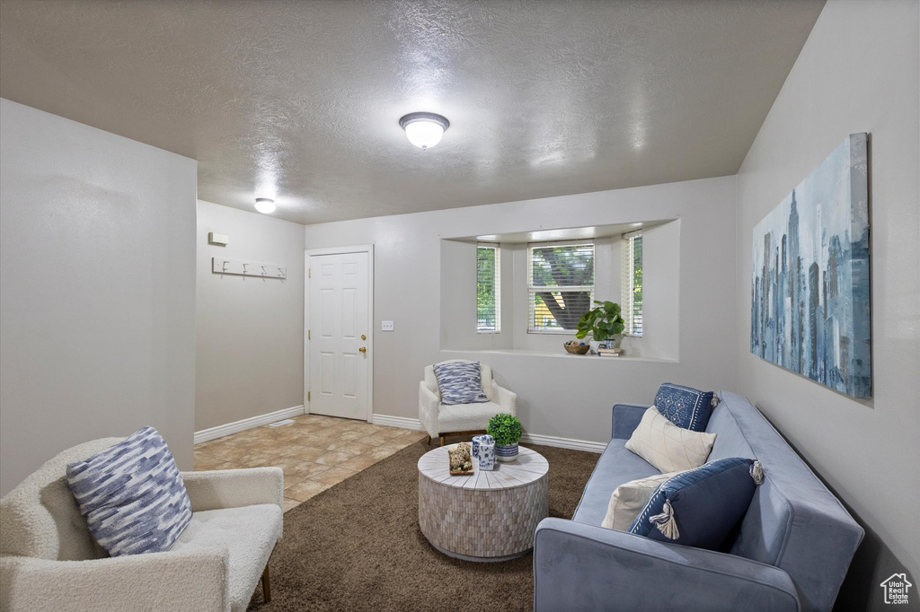 Living area featuring a textured ceiling and carpet floors
