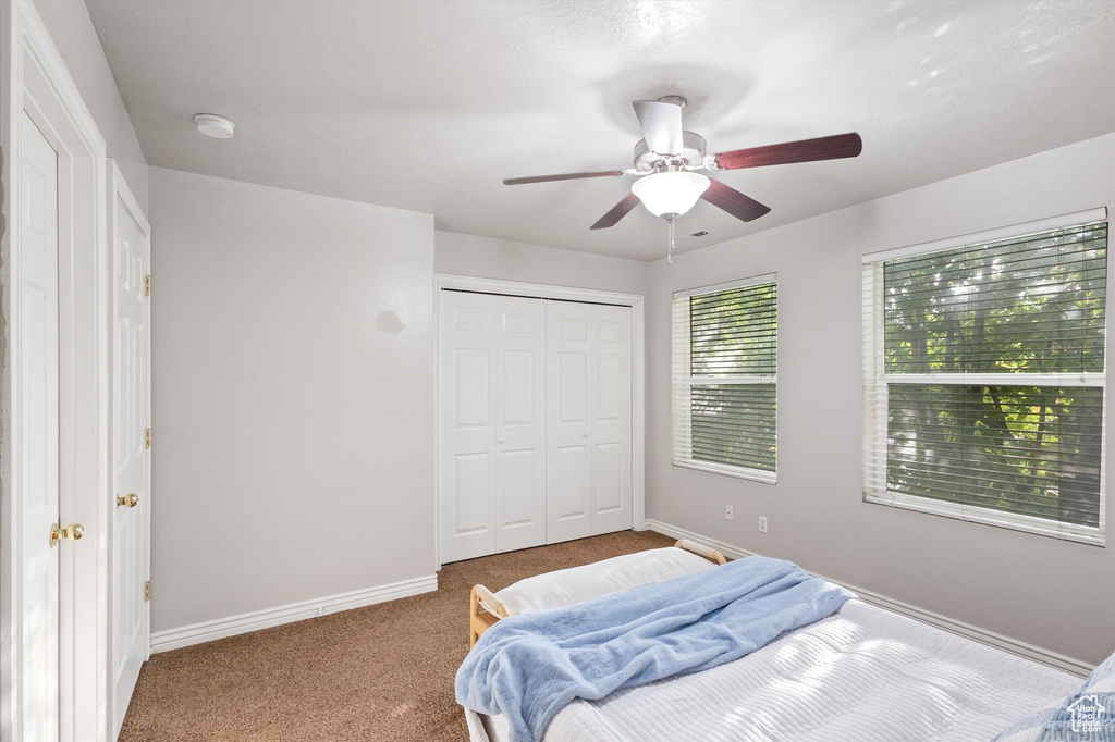 Carpeted bedroom with a ceiling fan and a closet