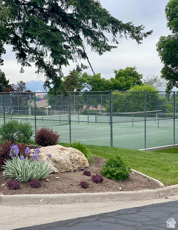 View of tennis court
