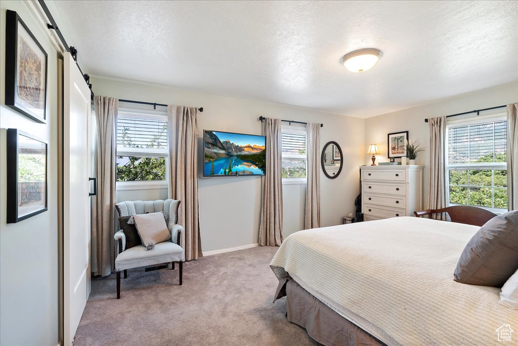Carpeted bedroom with a textured ceiling and a barn door