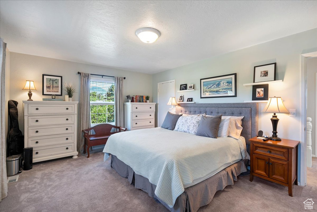 Carpeted bedroom with a textured ceiling