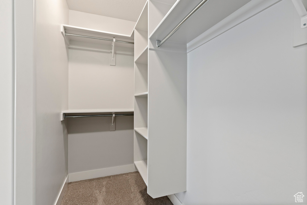 Spacious closet with carpet flooring